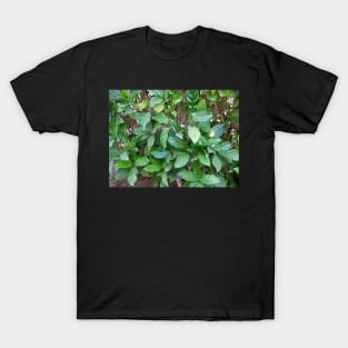 Garden Green Leaves T-Shirt